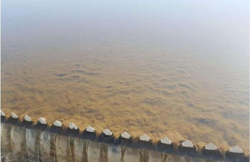 污泥膨胀.png 污泥膨胀.png