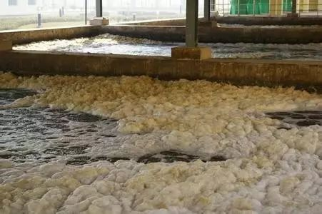 污泥泡沫.png 污泥泡沫.png