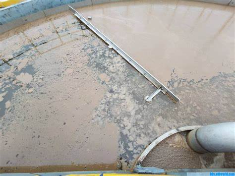 污泥上浮.png 污泥上浮.png